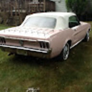 Meet your Posher, Anthony